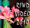 RIWD 2010 video